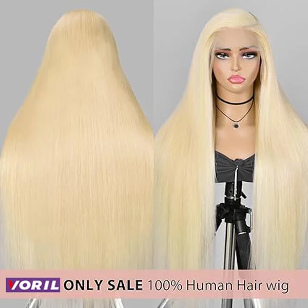 613 13x6 Lace Front Wig Human Hair Straight Lace Wig 