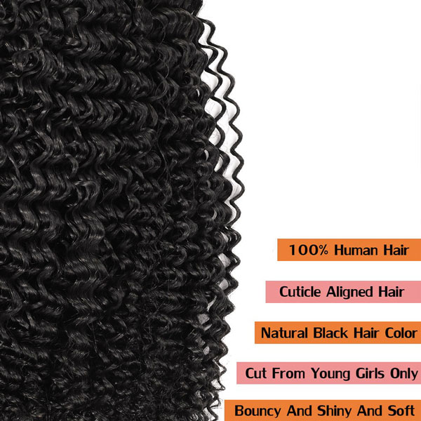 Double Drawn Kinky Curly Bundle Hair
