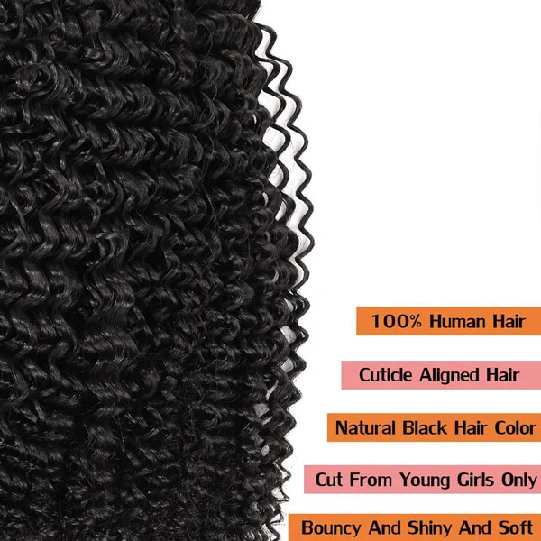 Double Drawn Kinky Curly Bundle Hair